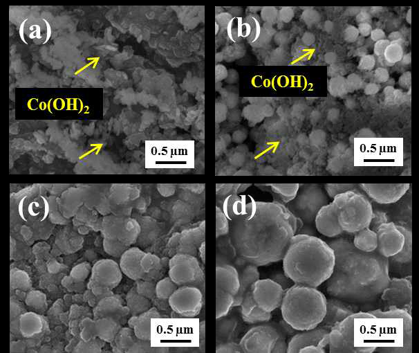 220℃에서 합성 시간에 따른 코발트 화합물의 FE-SEM 이미지: (a) 1시간, (b) 2시간, (c) 3시간, (d) 4시간