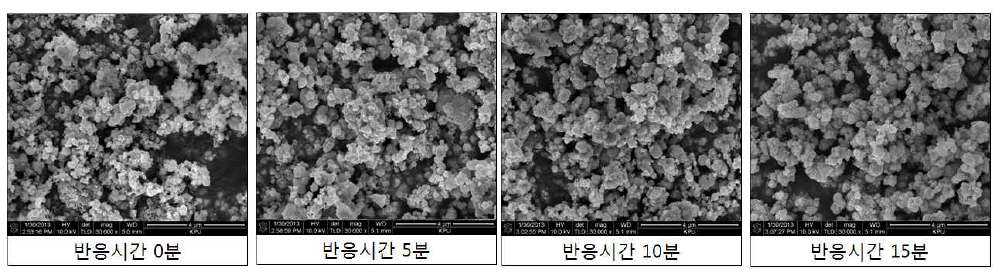 반응시간별 회수한 코발트 분말의 SEM 결과