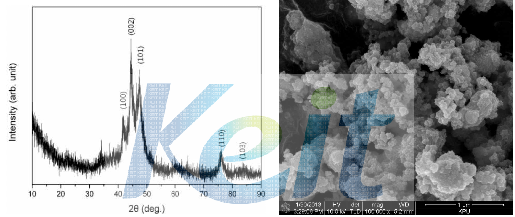 황산코발트 수용액으로 합성한 Co 나노분말의 XRD 및 SEM 결과