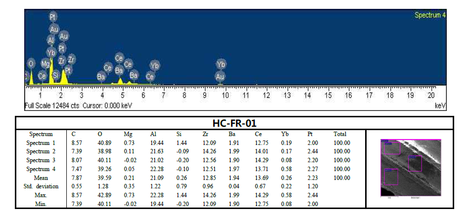 SEM-EDX results of HC-FR-01 catalyst