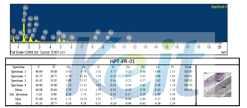 SEM-EDX results of HPT-FR-01 catalyst