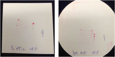 기판 위 36개 칩 마운팅 후 감압 테스트 2회 결과