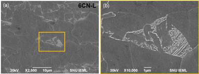 SEM images of X60 steel; (a) low magnification and (b) high magnification