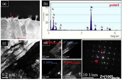 (a) STEM HAADF image of X60 steel. (b) Point EDS analysis spectrum of point 1 in (a). (c) TEM Bright field and (d) Drak field image of X60 steel