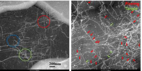 STEM images of X60 steel. Each color indicates pinning points(red) and tangled region(green)