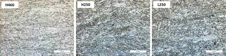 OM micrograph of the H460, H250, L250 steels