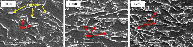 SEM micrographs of the H460, H250, and L250 steels showing secondary phases