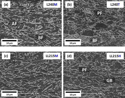 SEM images of (a) L240M, (b) L240T, (c) LL215M, and (d) LL215H steels