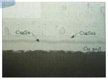 Cu(아래) Sn(위)접합계면에 형성된 금속간화합물층