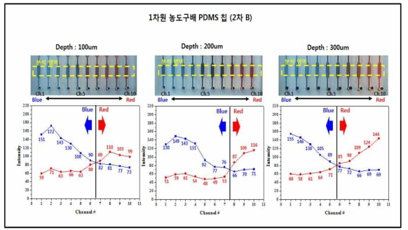 미소유체회로 1차원 농도구배 PDMS 칩 (2차 A) 농도구배 분석 결과