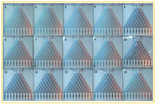 미소유체회로 1차원 농도구배 칩의 접합력 결과 (1 ~ 15)