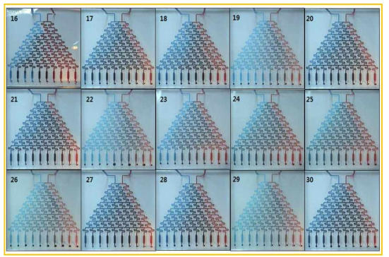 미소유체회로 1차원 농도구배 칩의 접합력 결과 (16 ~ 30)