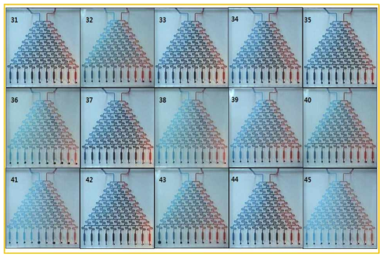 미소유체회로 1차원 농도구배 칩의 접합력 결과 (31 ~ 45)