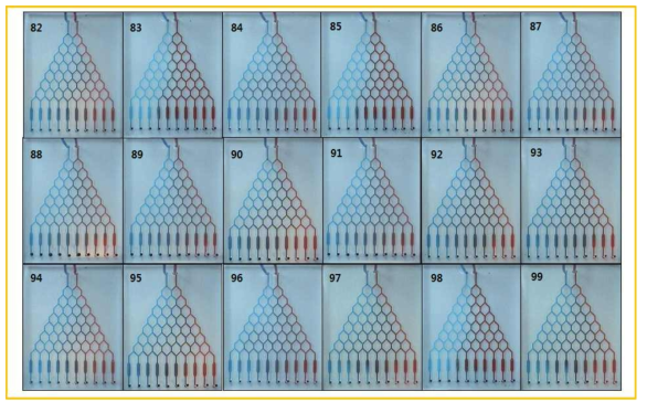 미소유체회로 1차원 농도구배 칩의 접합력 결과 (82 ~ 99)