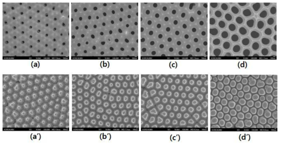 100~400nm의 크기 구조 구배 범위를 가지는 mold (a,b,c,d)와 이를 이용하여 제작한 column 형태의 구조적 구배를 가지는 세포배양용 표면의 이미지(a