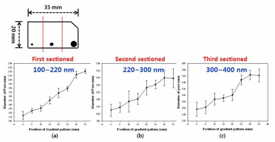 3-sectioned 구조적 구배 표면 제작용 mold의 구멍 크기 구배 구간 (slightly ordered type)
