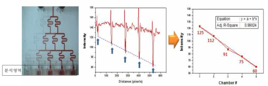 농도구배 칩의 농도구배 이미지 분석 방법