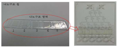 나노구조 칩 및 농도구배 칩과의 결합 (1차 복합구배 칩)