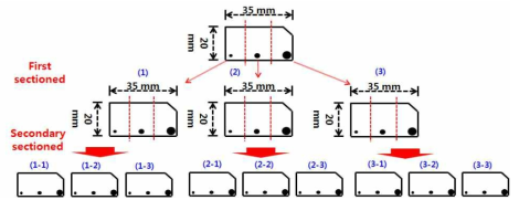 3 sectioned pattern의 resectionization 개념도