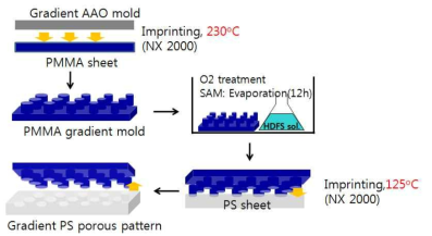 Pore type 나노구조 구배표면 변경된 제작 모식도