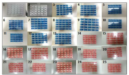 2차원 농도구배 칩 누수 Test (1~25)