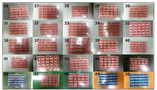 2차원 농도구배 칩 누수 Test (26~50)