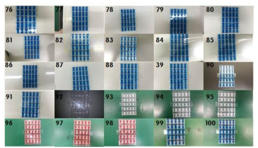 2차원 농도구배 칩 누수 Test (76~100)