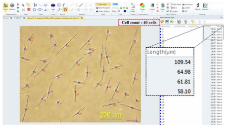 세포측정 및 분석 프로그램