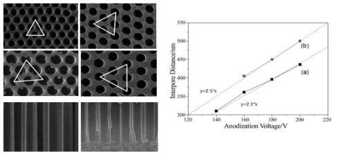나노구조물 중심간격 미세조절에 의해 제작된 AAO 나노구조물
