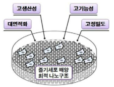 나노구조표면 세포배양용기 모식도