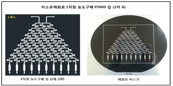 미소유체회로 1차원 농도구배 PDMS 칩 2차 A의 설계 및 에멀젼 마스크