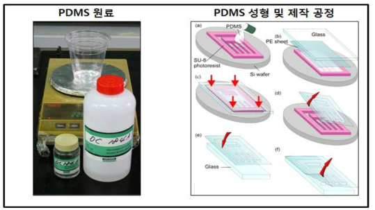 PDMS 원료, PDMS 성형 및 제작 공정 그림