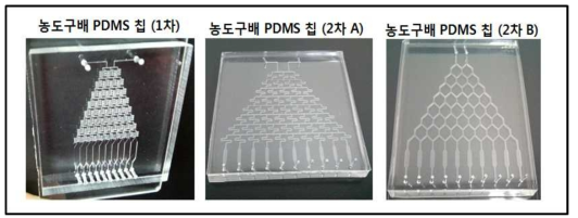 미소유체회로 1차원 농도구배 PDMS 칩 사진