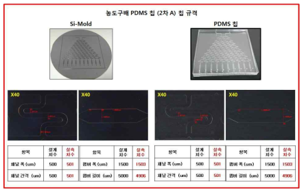 미소유체회로 1차원 농도구배 PDMS 칩 (2차 A)의 Si-Mold 및 PDMS 칩 설계 및 실측 결과