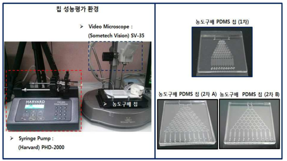 미소유체회로 1차원 농도구배 PDMS 칩 성능평가 환경