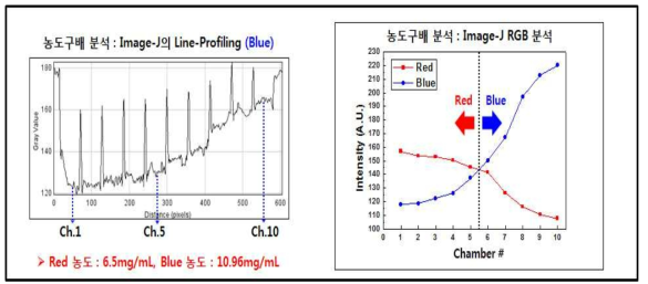 미소유체회로 1차원 농도구배 PDMS 칩 (1차) 농도구배 분석 결과