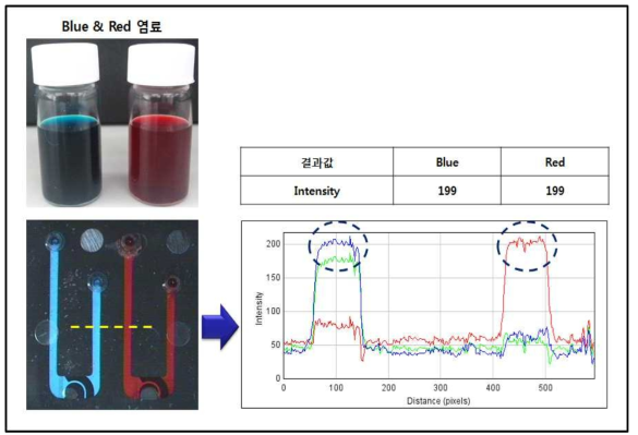 Blue 염료와 Red 염료의 초기 Intensity 결과