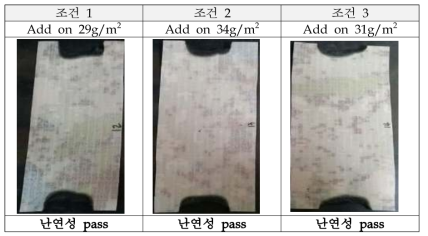 Back coating 난연제 처리 직후 난연성 시험 결과