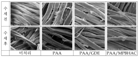 PAA 4% 수용액으로 처리한 면직물의 SEM 사진