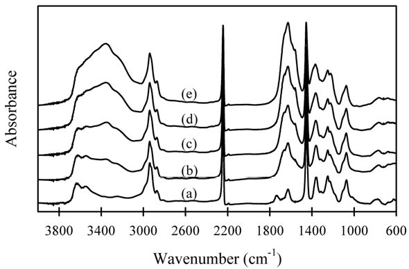 여러 가지 농도의 히드라진으로 가교시킨 PAN 입자의 IR 스펙트럼.