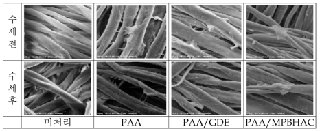 PAA 4% 수용액으로 처리한 면직물의 SEM 사진