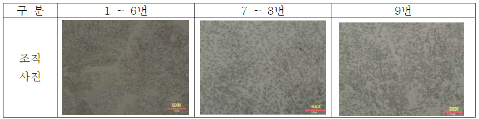 수정된 구상화 열처리(SA) 싸이클 시험 결과