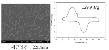 lab scale 온도제어 나노캡슐의 SEM. DSC data(자체평가)