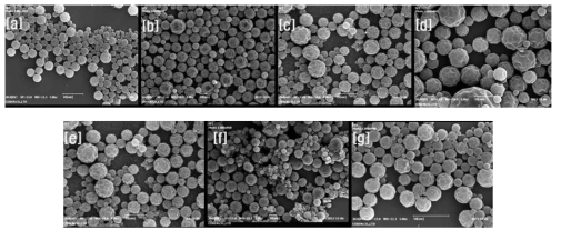 pH 변화에 따른 lab scale 온도제어캡슐의 SEM data