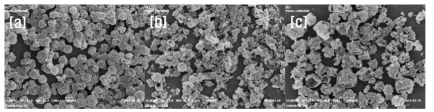 열전도도를 높이기 위한 반응 온도에 따른 lab scale 온도제어캡슐의 SEM data