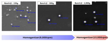 Batch Size별 온도제어 나노캡슐 SEM 사진