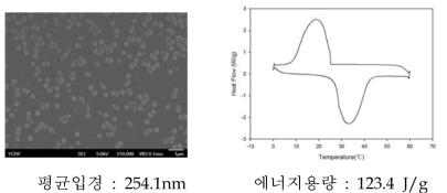 lab scale 온도제어 나노캡슐의 SEM, DSC data(3차년도 자체평가)