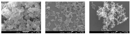 PEI(좌), SLS(가운데), tween 20(우)을 도입하여 제조한 lab scale 온도제어 나노캡슐의 SEM data