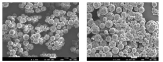 Catalysis를 도입하여 제조한 lab scale 온도제어 나노캡슐의 SEM data