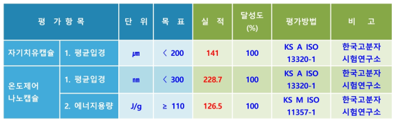 3차년도 정량목표, 실적 및 달성도